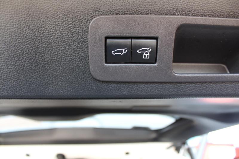 bnny3gfL7P_Crop800x600