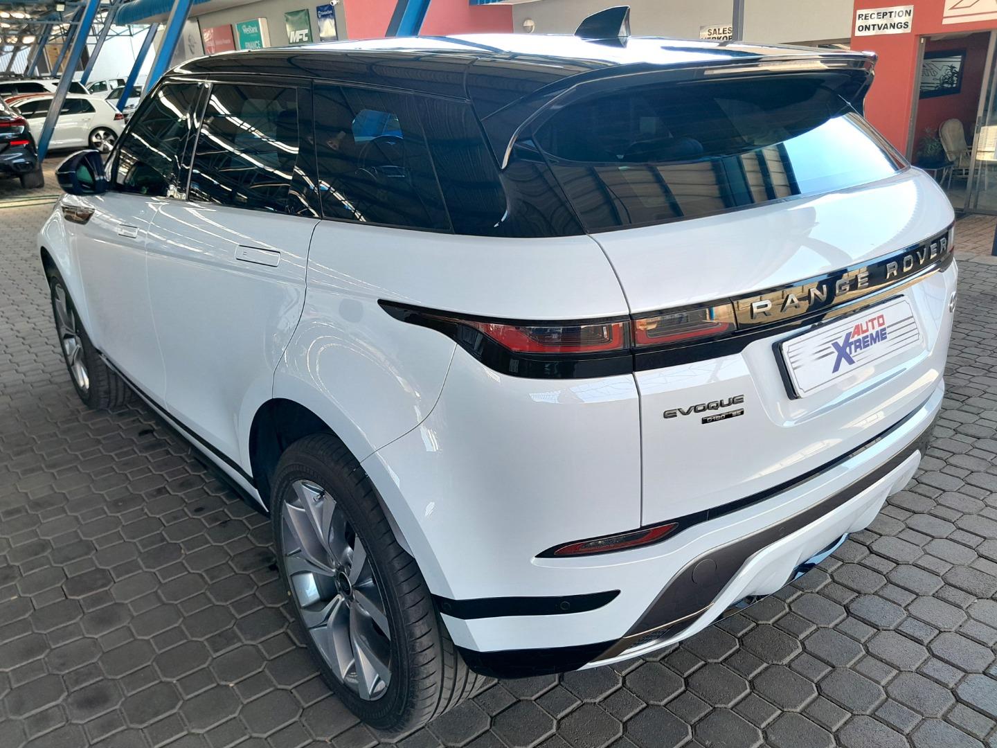 image-09b94ae35b6d9da27354475302c82381